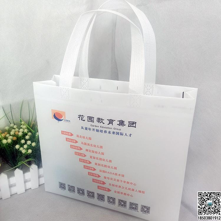 教育培訓班無紡布袋 學校輔導機構無紡布手提袋廣告袋宣傳袋  第6張