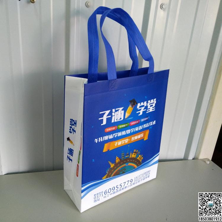 教育培訓班無紡布袋 學校輔導機構無紡布手提袋廣告袋宣傳袋  第31張