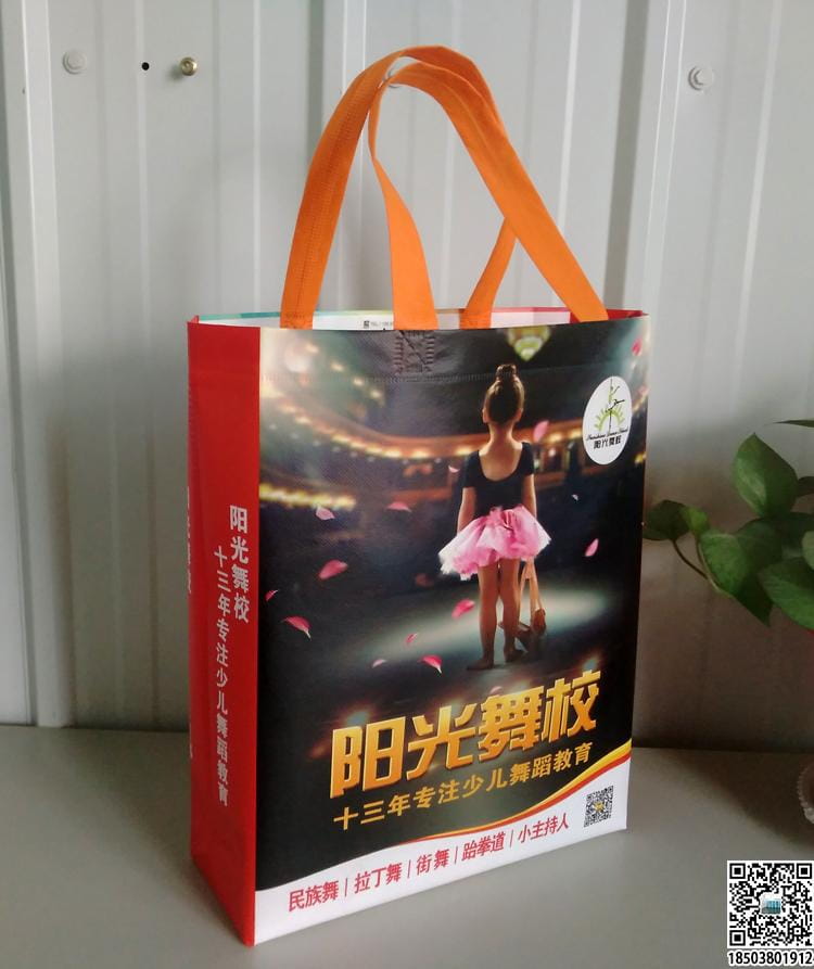 教育培訓班無紡布袋 學校輔導機構無紡布手提袋廣告袋宣傳袋  第23張