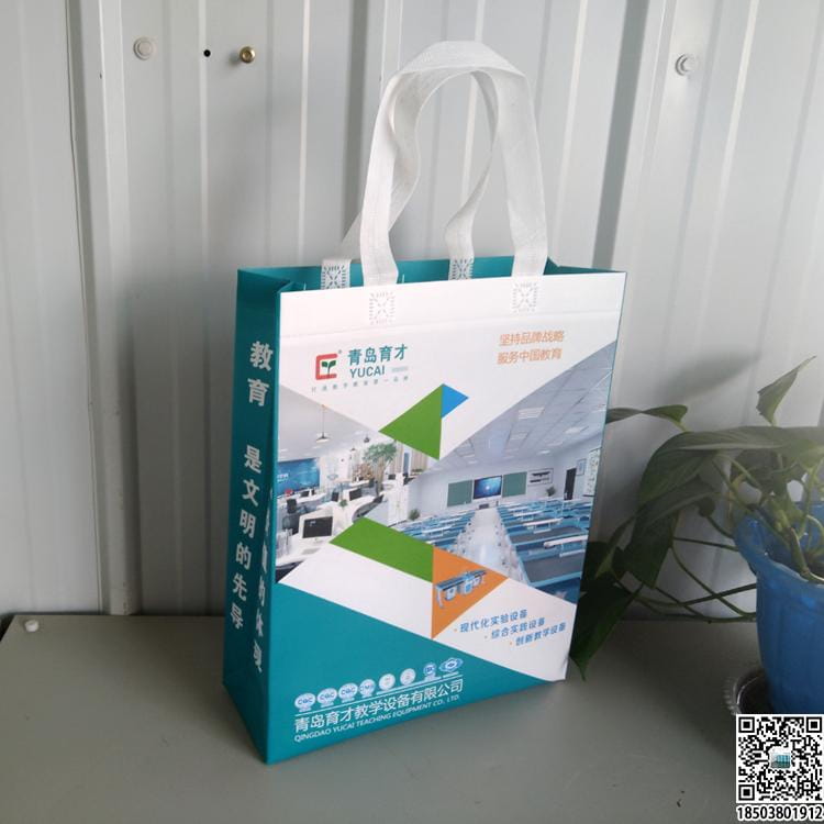 教育培訓班無紡布袋 學校輔導機構無紡布手提袋廣告袋宣傳袋  第50張