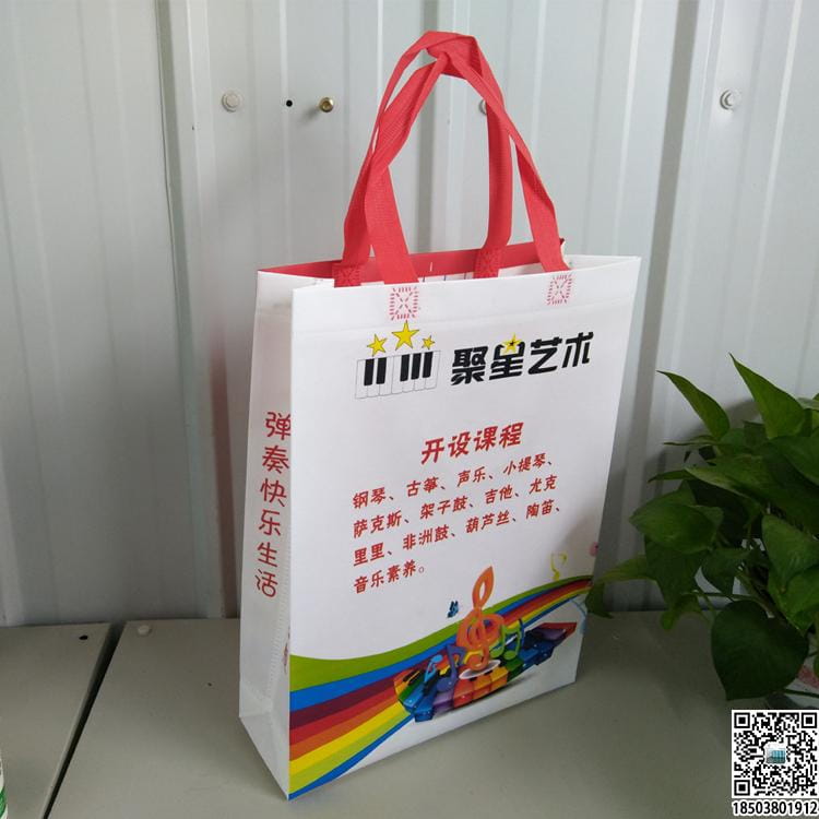 教育培訓班無紡布袋 學校輔導機構無紡布手提袋廣告袋宣傳袋  第43張