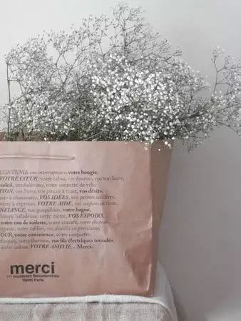 牛皮紙袋這么一套，綠蘿都變洋氣了  第8張