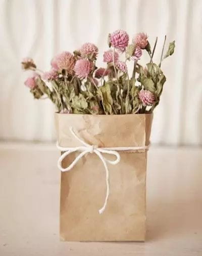 牛皮紙袋這么一套，綠蘿都變洋氣了  第7張