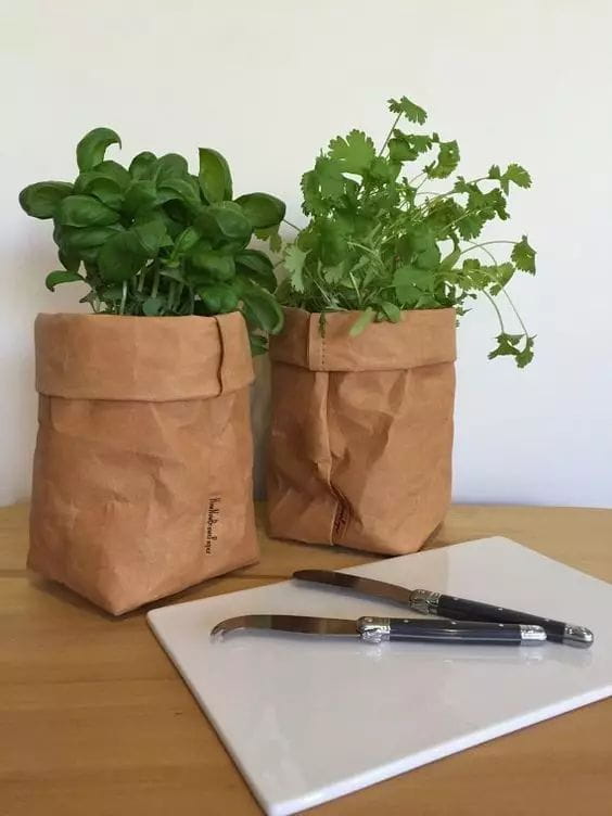 牛皮紙袋這么一套，綠蘿都變洋氣了  第9張