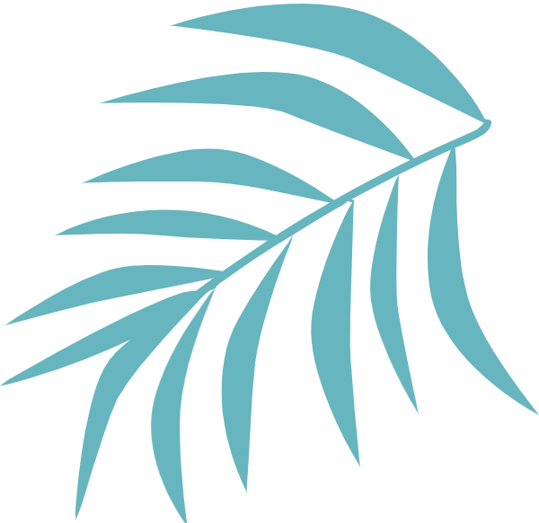 【環(huán)保科普】紙袋真的比塑料袋環(huán)保?答案出乎意料 第2張 【環(huán)保科普】紙袋真的比塑料袋環(huán)保?答案出乎意料 第2張