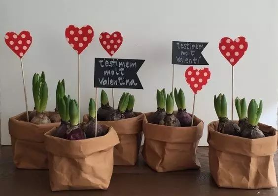 牛皮紙袋這么一套,綠蘿都變洋氣了 第11張 牛皮紙袋這么一套,綠蘿都變洋氣了 第11張