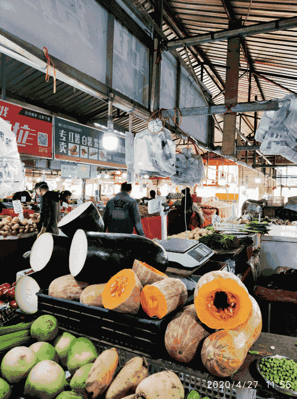 環保科普 | 為什么要禁塑、限塑？ 第13張