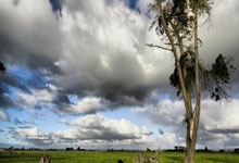 日本研發出可在海水中降解塑料袋：一年完全降解