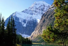 中國(貴州)國際酒類博覽會上有需要訂手提袋的展商嗎