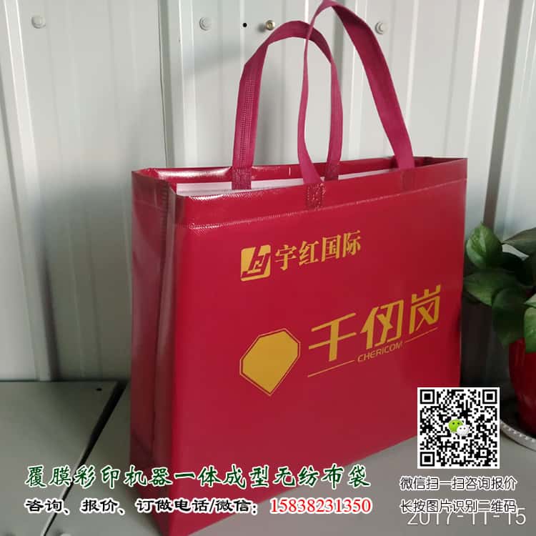 彩印一次成型袋廠家訂做 電話/微信15838231350 第2張 彩印一次成型袋廠家訂做 電話/微信15838231350 第2張