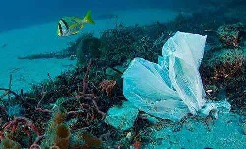 環(huán)保科普 | 為什么要禁塑、限塑？  第3張