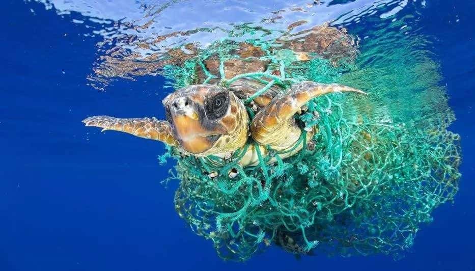 環(huán)保科普 | 為什么要禁塑、限塑？  第9張