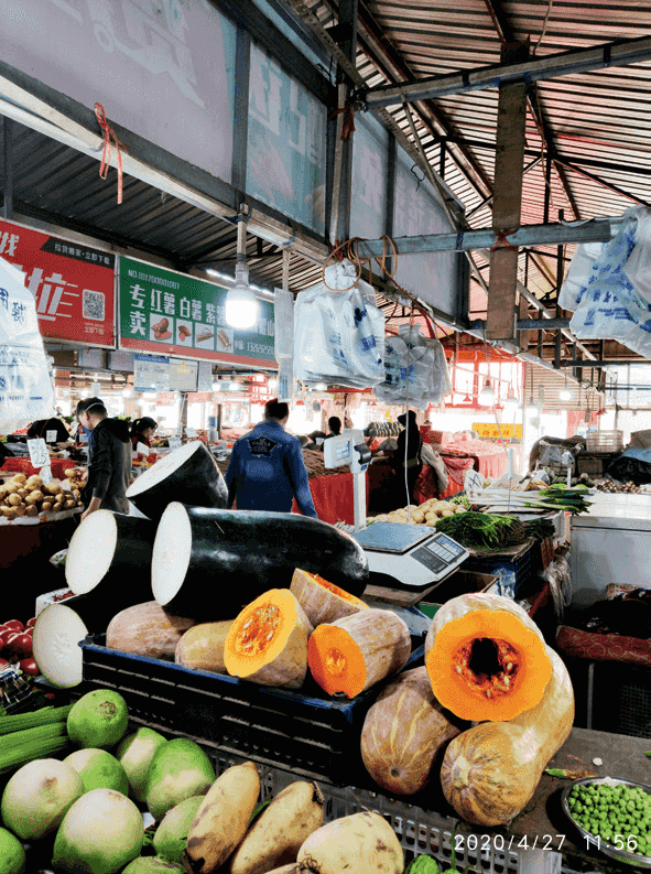 環(huán)保科普 | 為什么要禁塑、限塑？  第13張