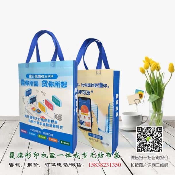 禁塑令開始后 禁塑替代品無紡布袋價格便宜嗎？  第3張