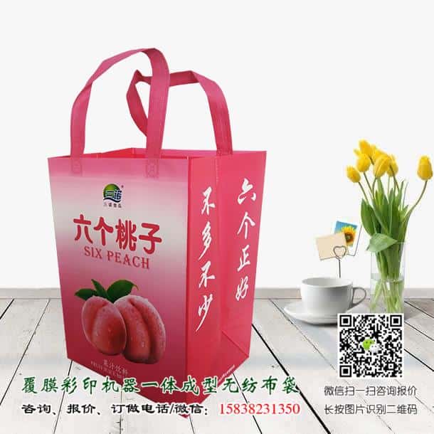 禁塑令開始后 禁塑替代品無紡布袋價格便宜嗎？  第2張