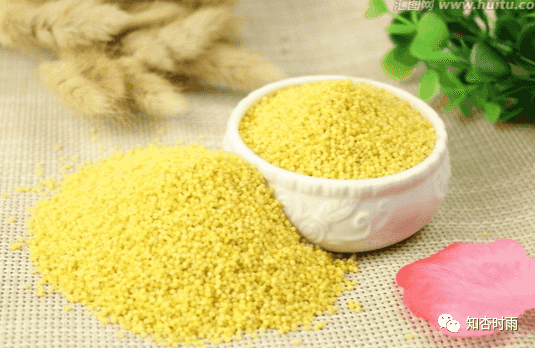 小米袋_一用就會愛上的拍打神器  第8張