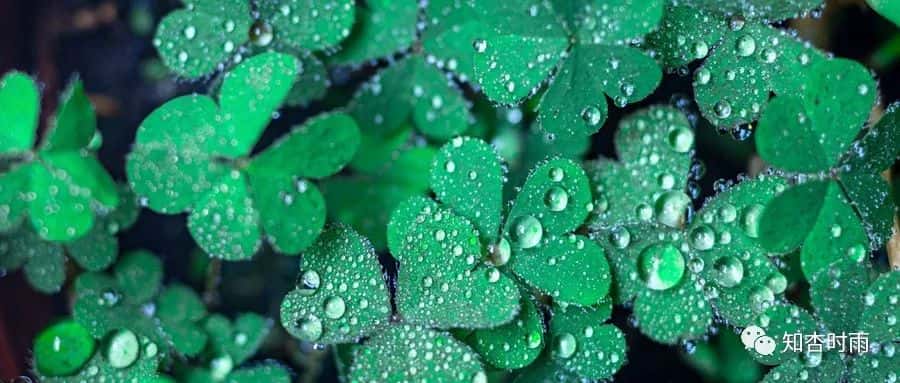 小米袋_一用就會愛上的拍打神器  第28張