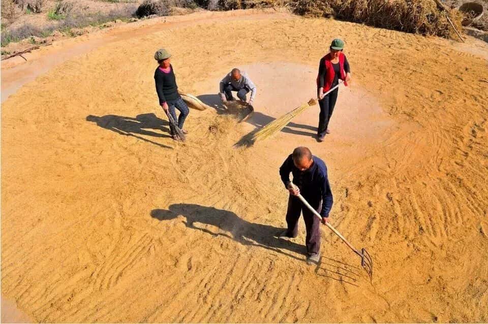 山區留守老人黃小米銷路難,緊急求援,讓我們一起轉發,給他們多一份希望.  第8張