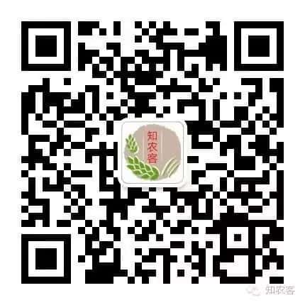 山區留守老人黃小米銷路難,緊急求援,讓我們一起轉發,給他們多一份希望.  第12張