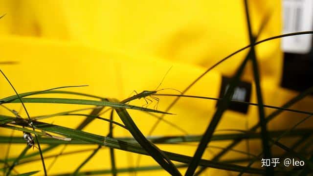 小米上線29元小背包,真的好用嗎? 第26張 小米上線29元小背包,真的好用嗎? 第26張