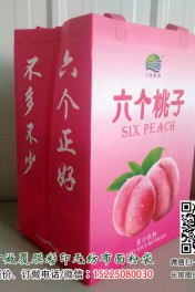 飲料無紡布袋訂制