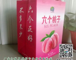 飲料無紡布袋訂制