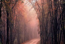 中國(貴州)國際酒類博覽會上有需要訂手提袋的展商嗎