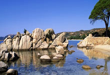 堅固耐用的無紡布袋：承載重物的長久伴侶