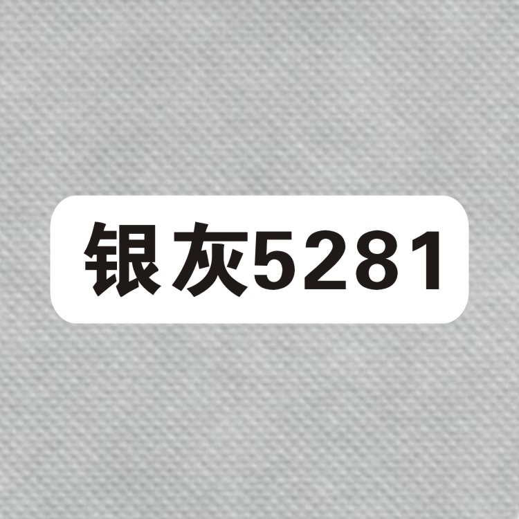 【無紡布色卡】銀灰5281